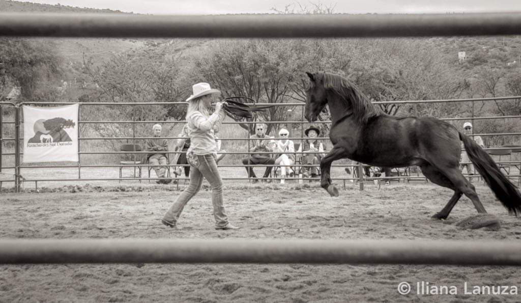 Transformational horse whispering supports family’s son's cancer treatments