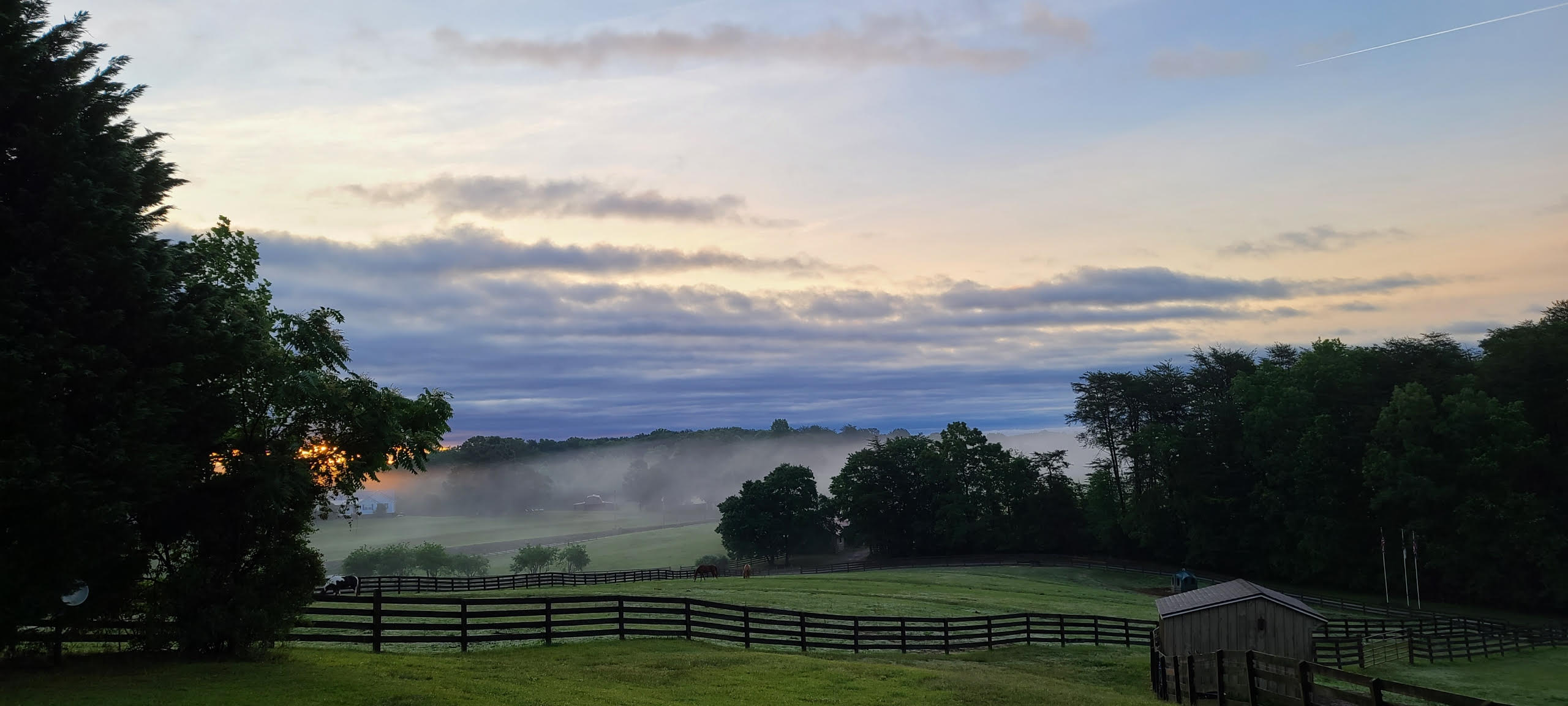 Whispering Feather Farm