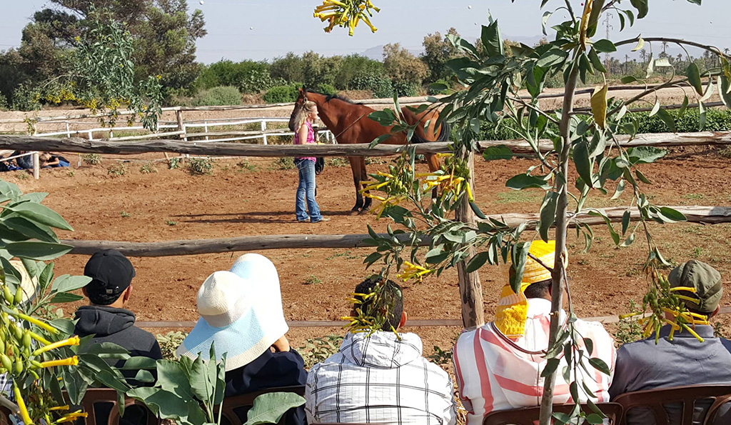 Fund-raising demonstration in Morocco for Equine Union
