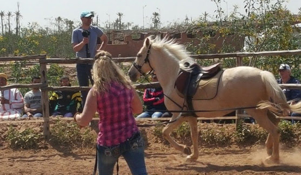 Respectful relationships demonstration for the Moroccan riding project