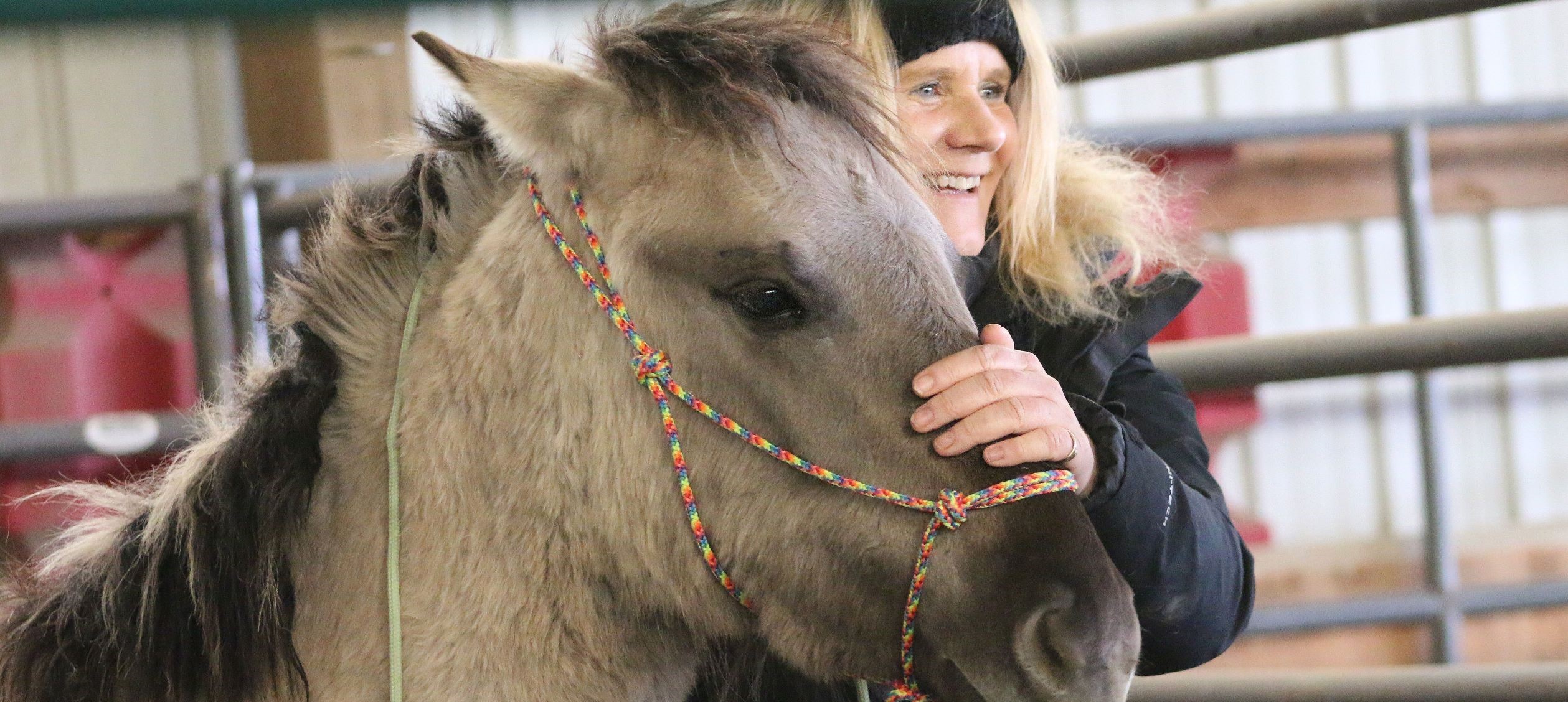 Anna with rare Tarpan horse