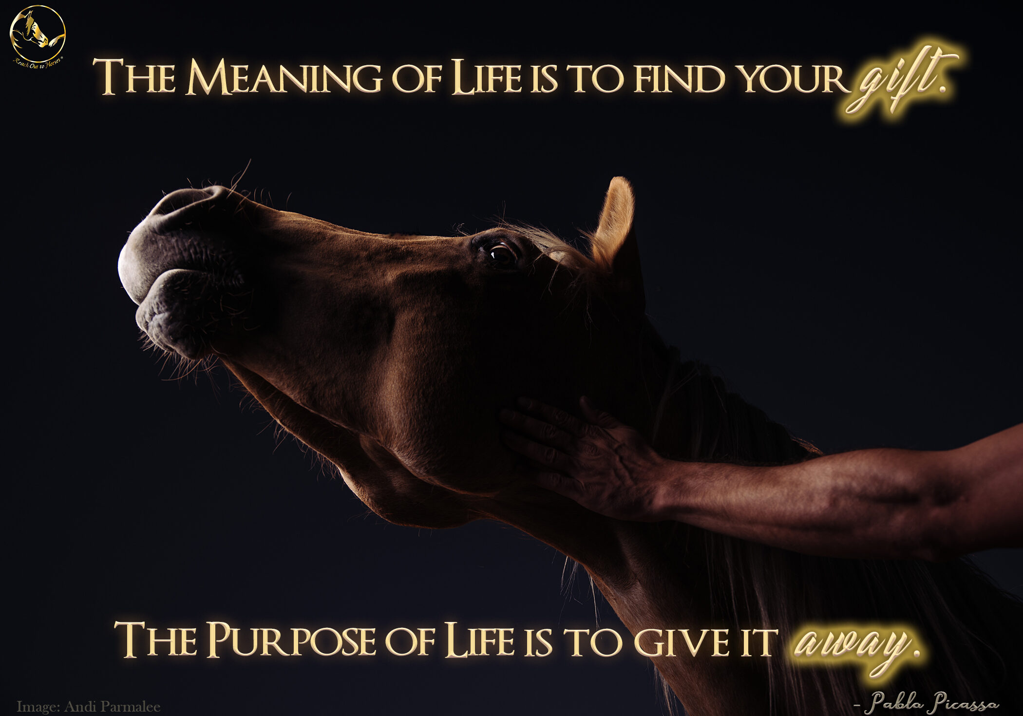 The Meaning of Life is to Find Your Gift. The Purpose of Life is to Give it Away.