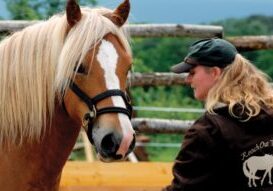Holistic Horsemanship with Anna Twinney