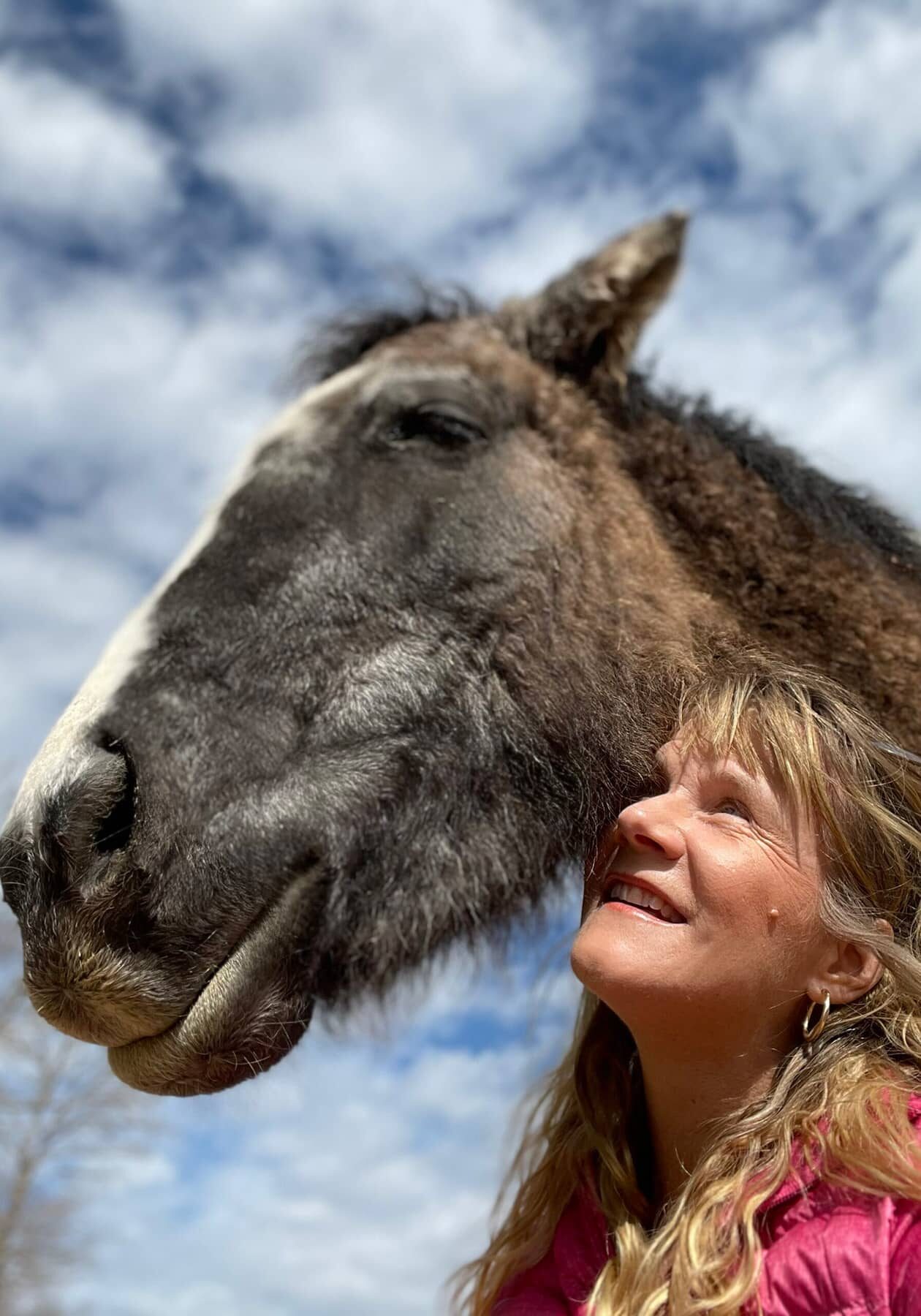 Gigi and Anna Twinney - No Horse Left Behind